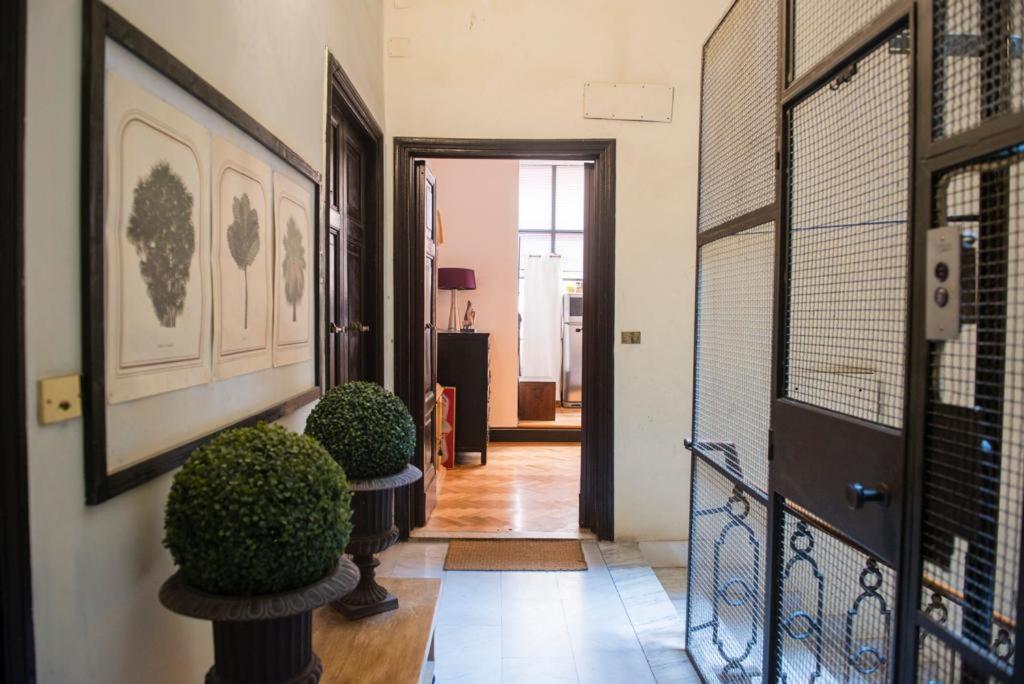 Vittorio Apartment 罗马 外观 照片